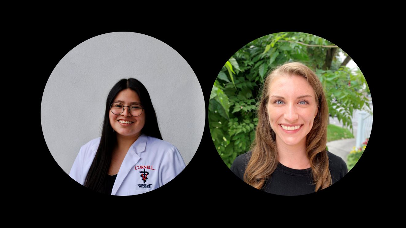 New scholarship award relieves tuition burden for final two years of D